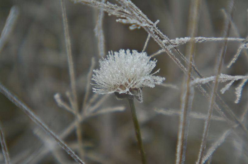 18121725_794328010742484_123563972714823