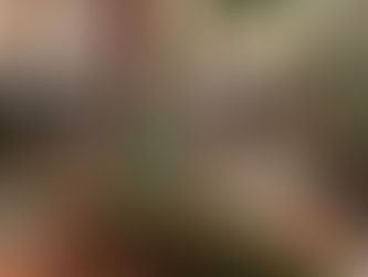 Choosing the Perfect Wedding Venue: Where Dreams Take Flight