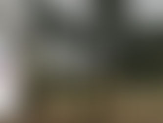 La forêt des enfants en danger, suite…