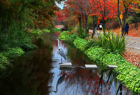 Autumn Landscape of Sangdong Citizen Riv