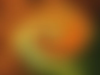 Reflexão sobre as “revoluções” em curso