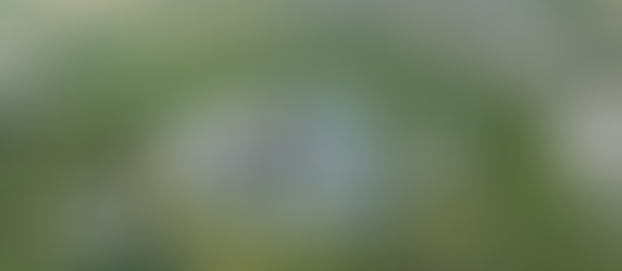 지금 독일은..... ,