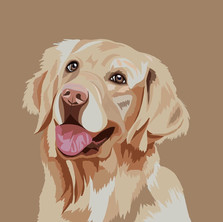 the.creativecookie_72406735_432766420986