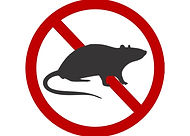 Logo ratos arrumar.jpg