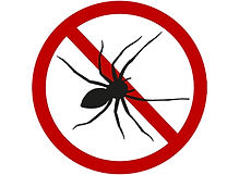 Logo aranhas arrumar.jpg