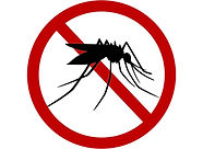 Logo mosquito arrumar.jpg