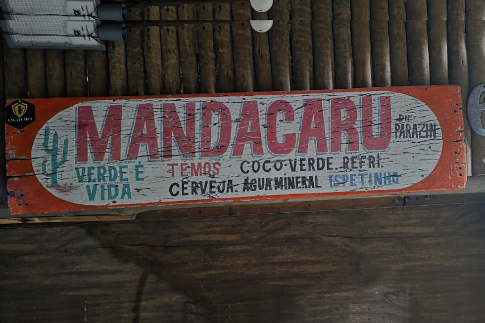 mandacaru.png