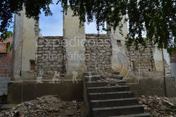 Cristina-1542