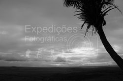 Carolina-4466