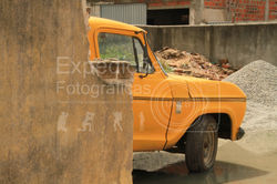 Carolina-3762
