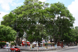 Praça Luiz Nogueira