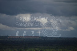 Carolina-4331