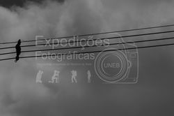 Centro da Cidade