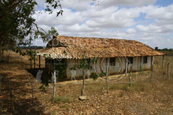Fazenda Guanabara