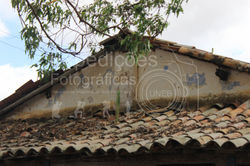 Fazenda Guanabara