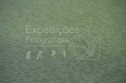 Carolina-4281