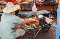 Feira Livre
