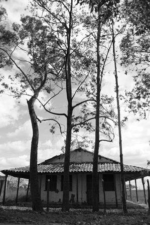 Fazenda Guanabara