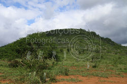 Carolina-4329