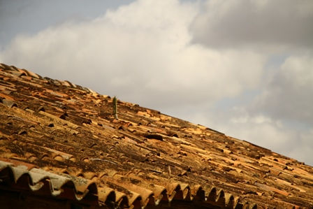 Fazenda Guanabara