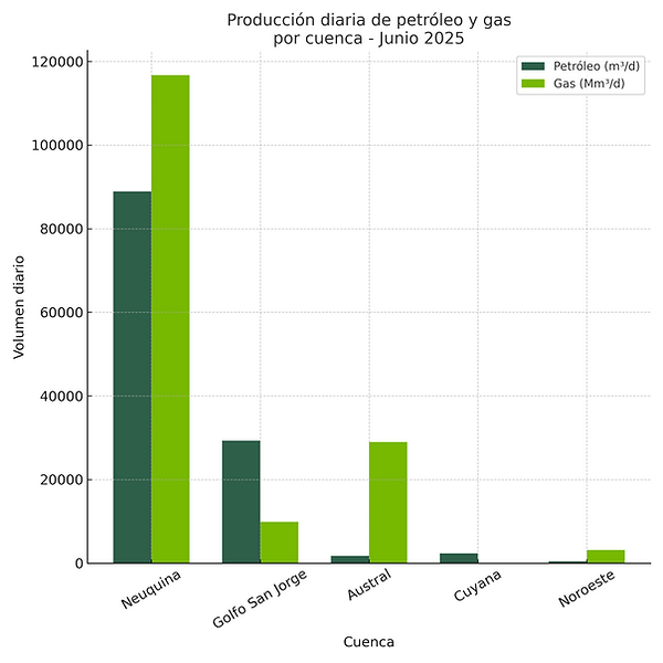 produccion_petroleo_gas_junio2025_cuadrado.png