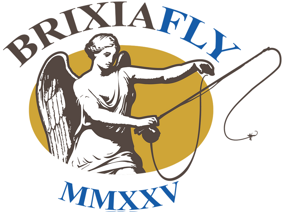 BrixiaFly_logo_cmyk (2).png