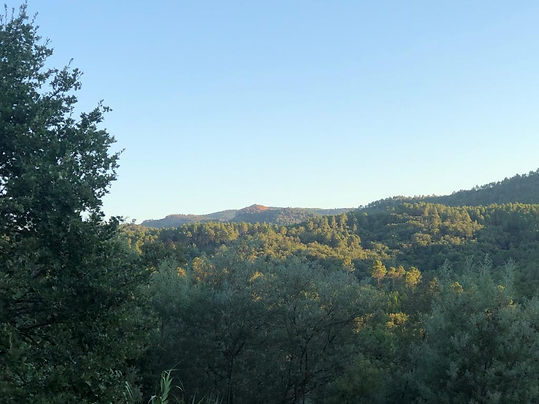 Domaine Theolier Provence
