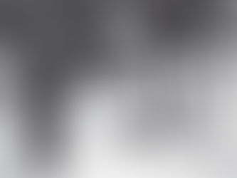 A Belle-Époque em Belém do Pará (Brasil).