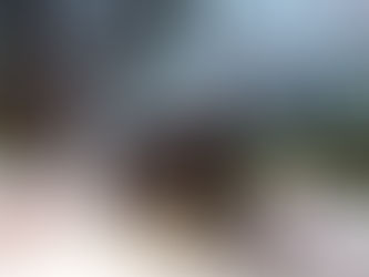 Maria-Fumaça: Romance ou Novela?