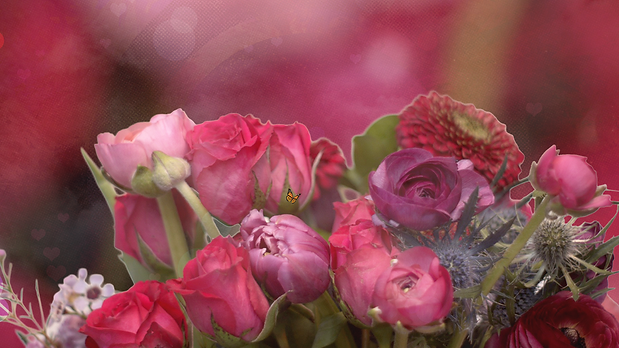 Divine Worship Website Sermon Graphic - Backgroung.png