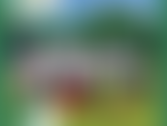 Spielbericht U14mx Cup 21.05.2023