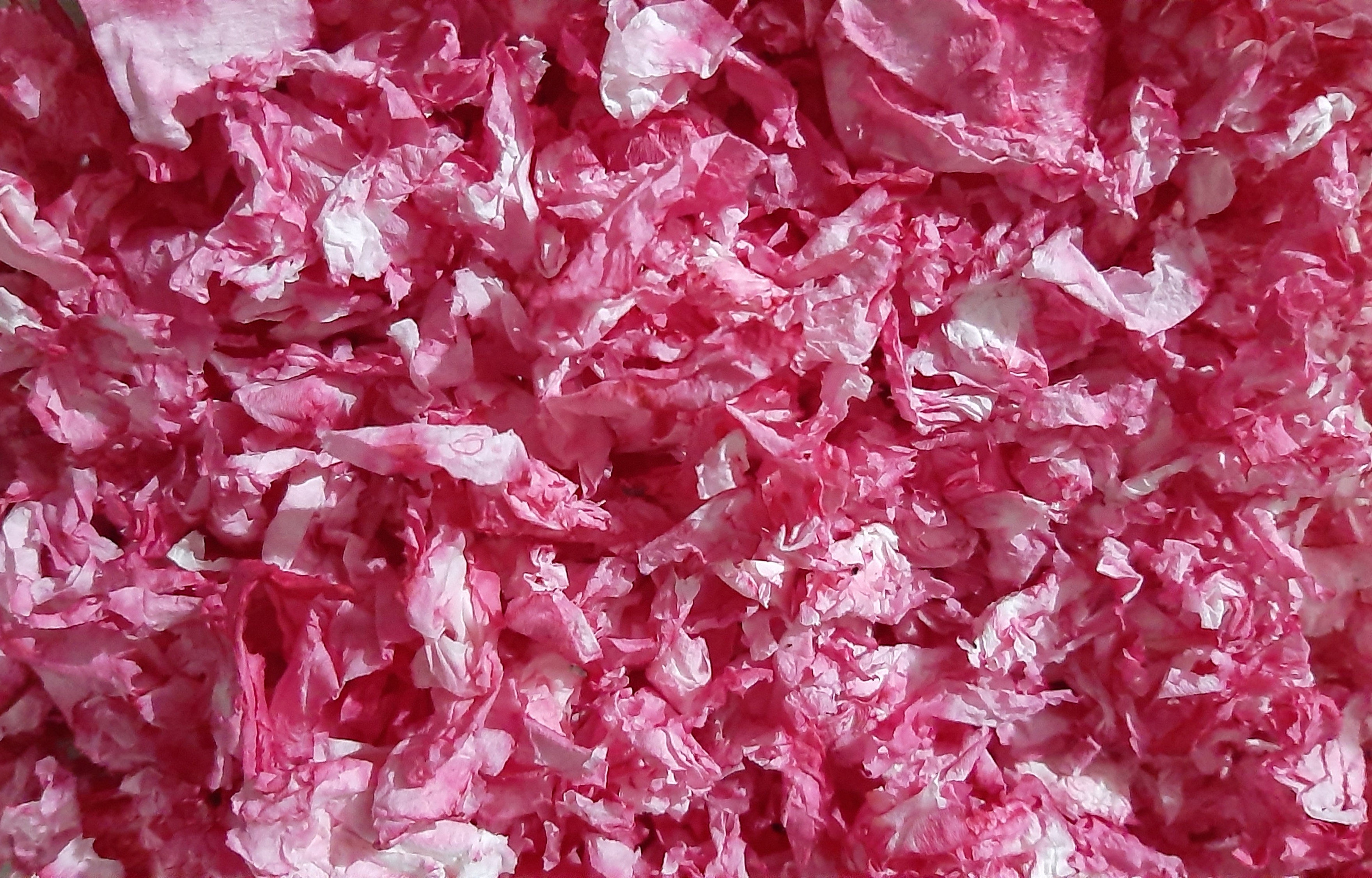 Paper Pet Bedding - Colour (200g)
