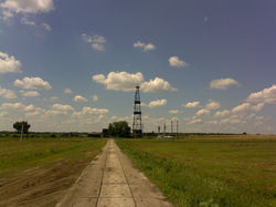 IMG0379A