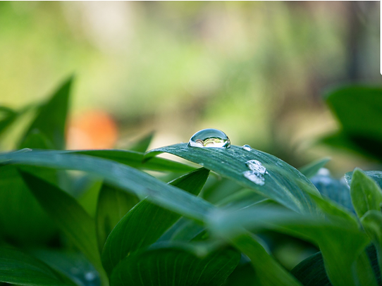 Captura de pantalla 2024-11-26 a la(s) 2.21.12 a. m..png