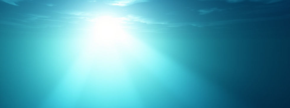 ocean theme with light background.jpg