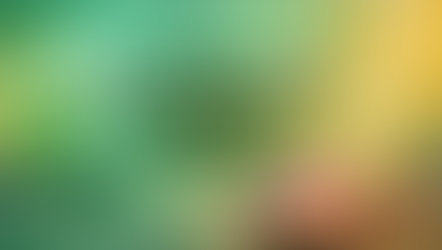 Heart Chakra Incense: Best Scents for Love, Healing & Emotional Balance