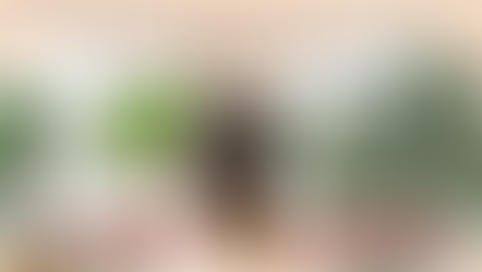 Comparing Eucalyptus Essential Oil and Camphor Essential Oil: Extraction, Benefits & Risks