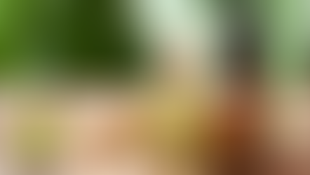 10 Refreshing Ways to Use Lemongrass Essential Oil for a Healthier Home and Mind