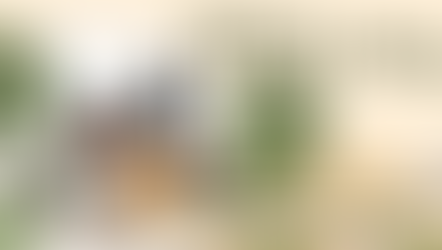 Why Clary Sage Essential Oil is Your Best Relaxation Ally