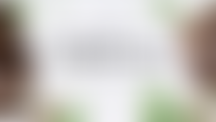 Ground Your Energy with Hand-Dipped Cedarwood Incense Cones