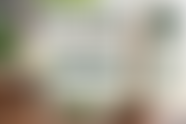 Wholesale Jumbo Incense Sticks: Long-Burning Buying Guide
