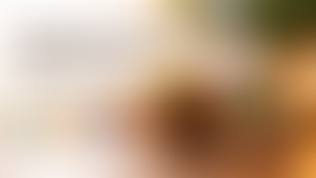 Cinnamon Incense Benefits: A Complete Guide to Mood and Use