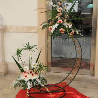 DSC_7370.JPG