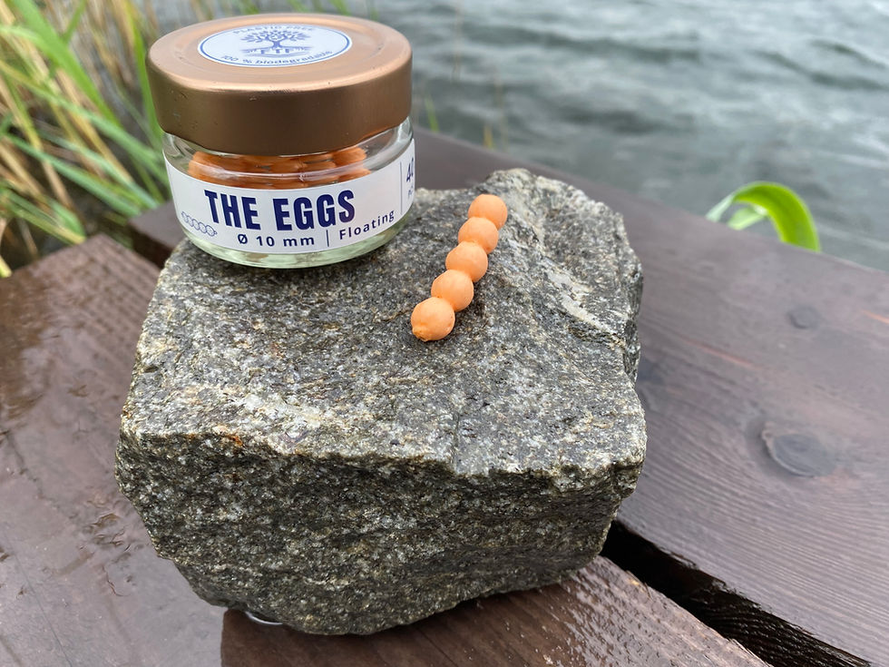 The Eggs_7181.jpeg