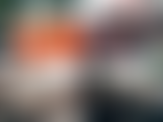 Sektionernas introduktionsscheman