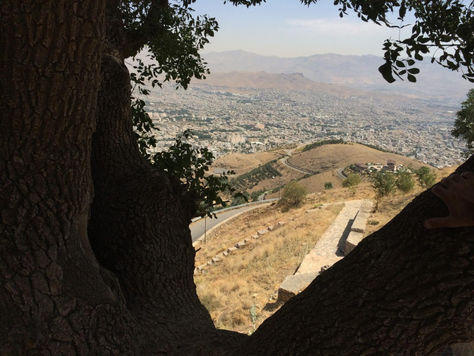 Krönika: To turn a pandemic