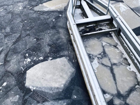 Lösnummers fototävling – Vinnarna