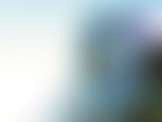 Kårhuset utsatt för vandalism under introduktion