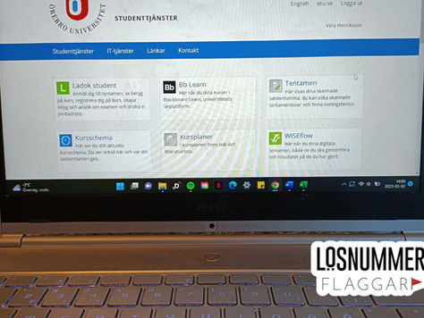 LÖSNUMMER FLAGGAR- Digitala plattformar på campus