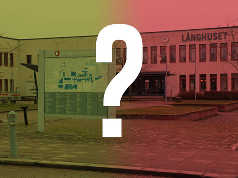 Enkät: Så tycker studenterna om salstentor